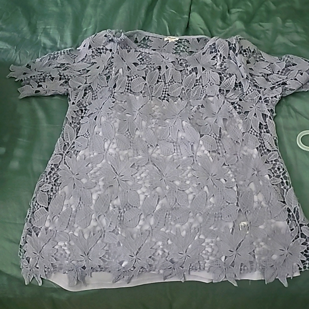 Earth Pink periwinkle blouse